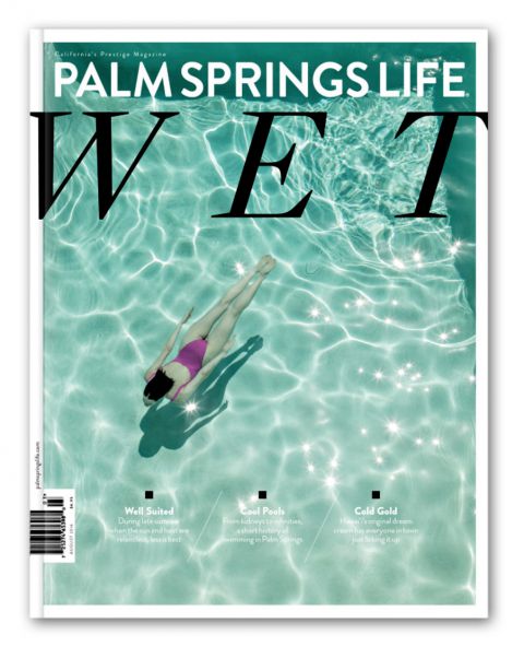 Palm Spring Life Covers